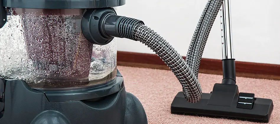 How to Dry a Carpet Fast After Cleaning - Vacuum Cleaners Advisor